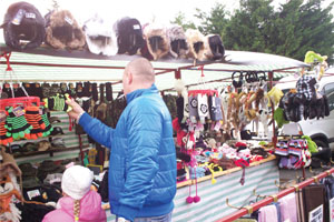 Browsers at The Fairyhouse Market